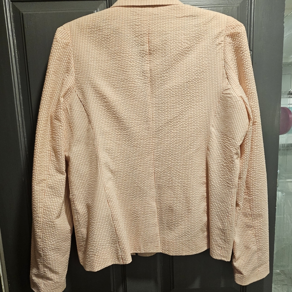 Pink Searsucker Jacket - Picture 4 of 5